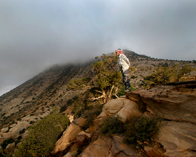 Биосферный заповедник Дана и Фейнан